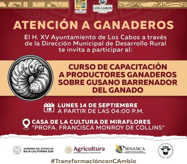 Productores ganaderos durante una capacitación sobre sanidad animal