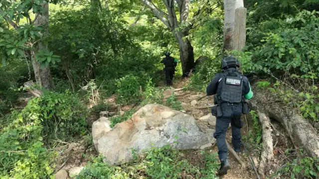 Vista de áreas verdes y laderas del Parque Nacional El Veladero en Acapulco