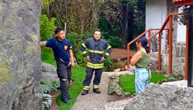 Zona boscosa de difícil acceso en las inmediaciones de Villa Alpina, Naucalpan