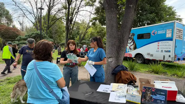 Jornada de esterilización y vacunación gratuita para animales de compañía en Querétaro
