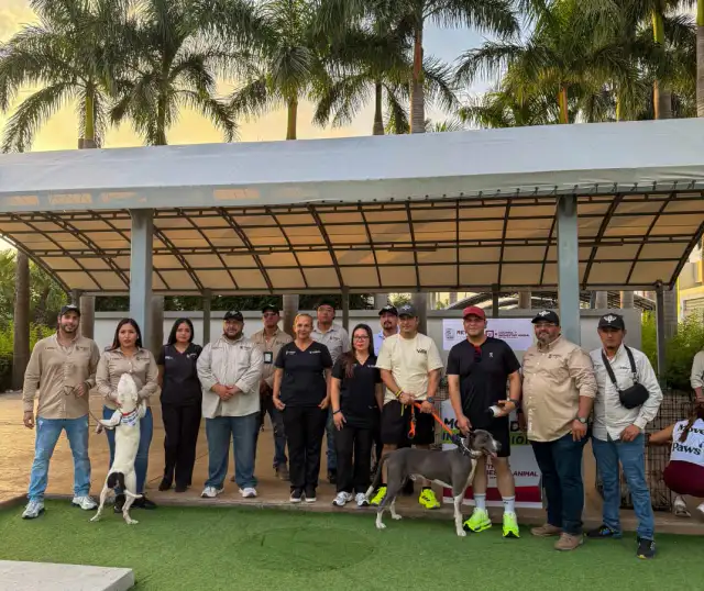 Personas haciendo ejercicio al aire libre durante evento Move for Paws en Reynosa