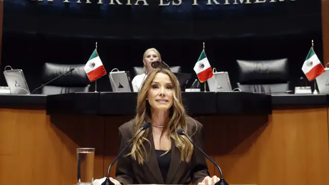 Sesión legislativa en el Senado de la República durante la presentación de un punto de acuerdo