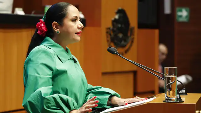Senadora durante una intervención en el Senado de la República