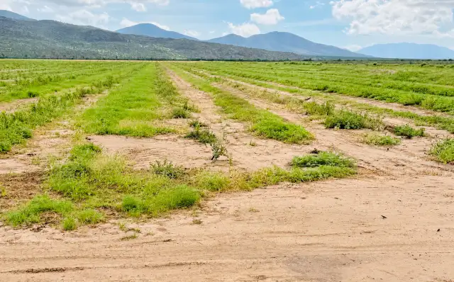 Productores y autoridades durante recorrido de evaluación de daños en zona rural de Comondú