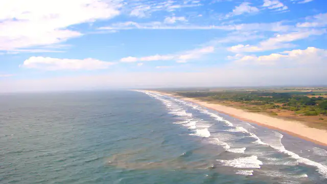 Playa de arena dorada en Sinaloa con turistas y palmeras al fondo
