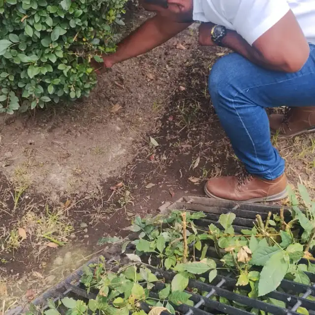 Parque urbano con áreas verdes y andadores en Toluca