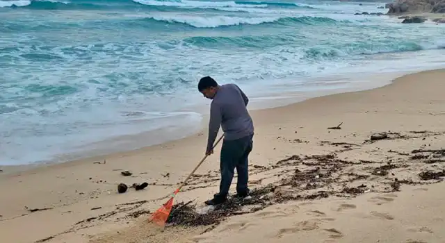 Personal de salud toma muestras de agua de mar en una playa de Baja California Sur
