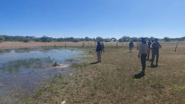 Personal de búsqueda y seguridad durante un operativo en campo en Fresnillo, Zacatecas