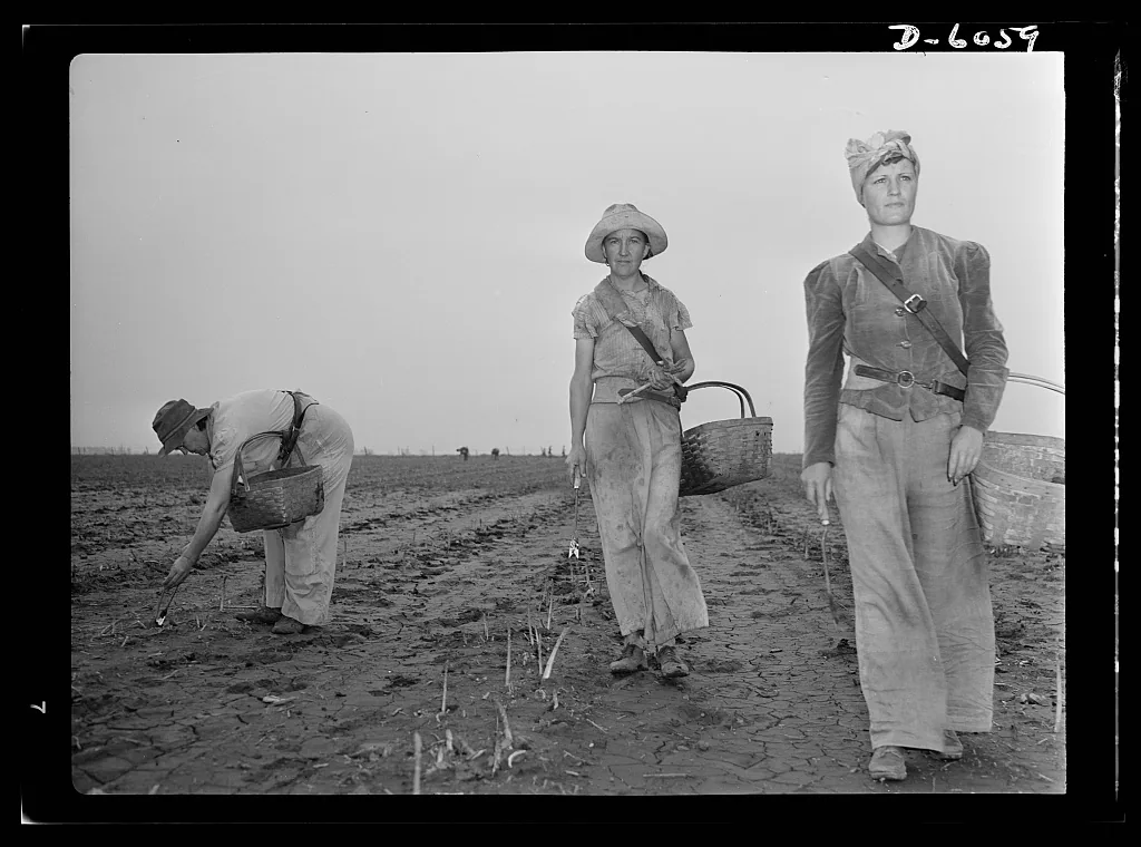 Mujeres mexicanas en EE.UU. sostienen una parte clave de la economía laboral