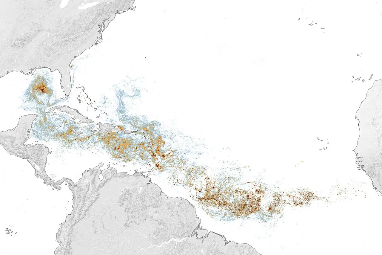 Mapa de densidad de sargazo en el Atlántico tropical en junio de 2026 mostrando altas concentraciones