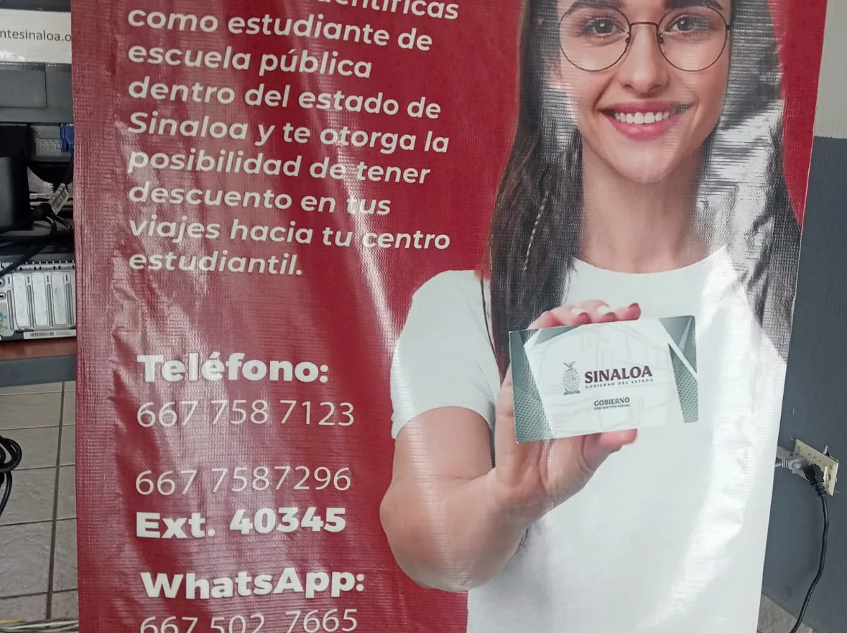 Tarjetas inteligentes de identidad estudiantil sobre fondo blanco
